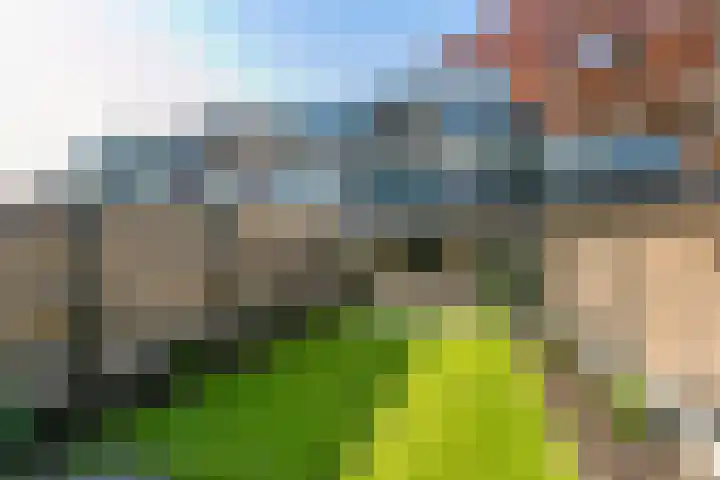Zaan 9 Wijk bij Duurstede thumbnail 14