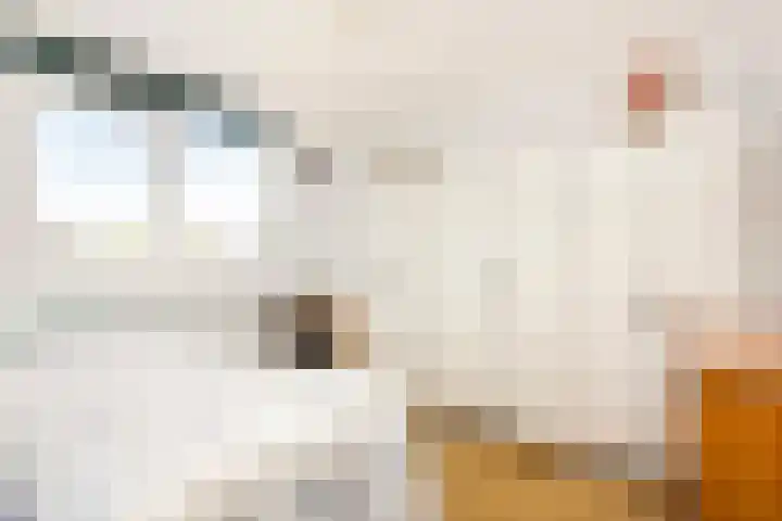 Zaan 9 Wijk bij Duurstede thumbnail 19