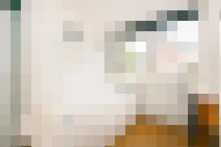 Zaan 9 Wijk bij Duurstede thumbnail 20