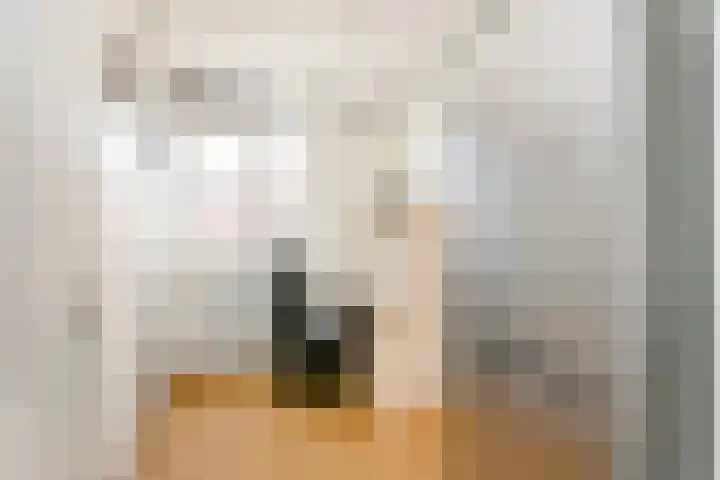 Zaan 9 Wijk bij Duurstede thumbnail 21
