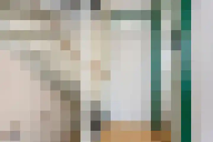 Zaan 9 Wijk bij Duurstede thumbnail 24