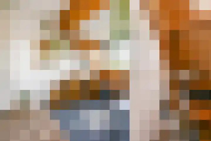 Zaan 9 Wijk bij Duurstede thumbnail 25
