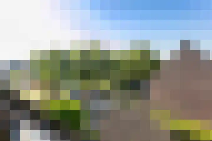 Zaan 9 Wijk bij Duurstede thumbnail 29