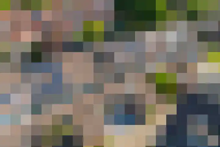 Zaan 9 Wijk bij Duurstede thumbnail 32