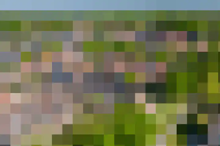 Zaan 9 Wijk bij Duurstede thumbnail 33