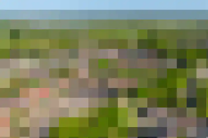 Zaan 9 Wijk bij Duurstede thumbnail 34