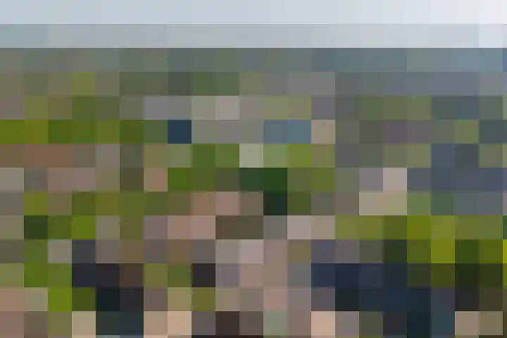 Zaan 9 Wijk bij Duurstede thumbnail 35