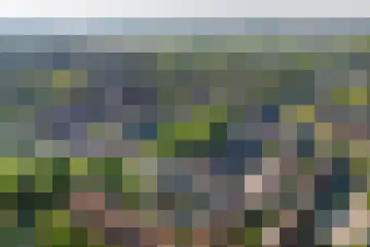 Zaan 9 Wijk bij Duurstede thumbnail 36