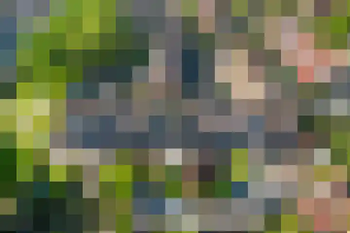 Zaan 9 Wijk bij Duurstede thumbnail 37