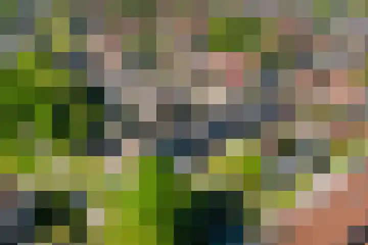 Zaan 9 Wijk bij Duurstede thumbnail 38