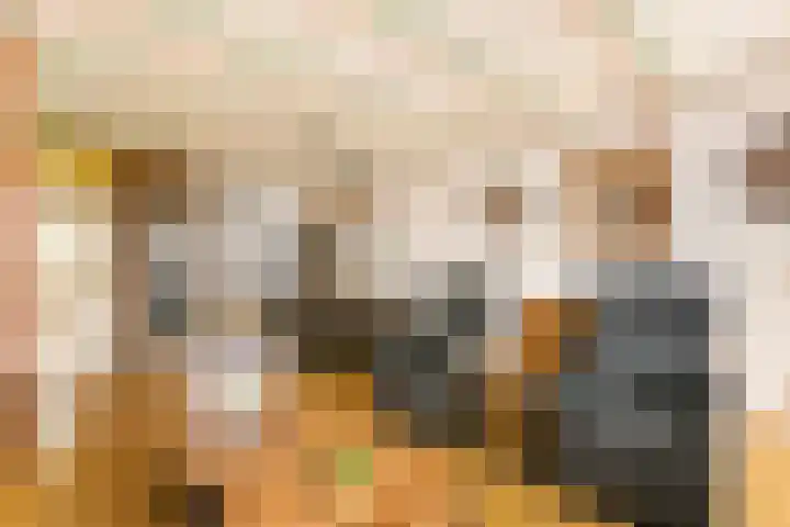Zaan 9 Wijk bij Duurstede thumbnail 6