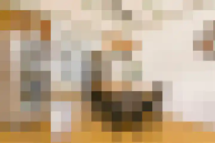 Zaan 9 Wijk bij Duurstede thumbnail 7