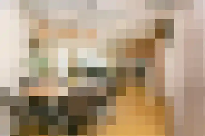 Zaan 9 Wijk bij Duurstede thumbnail 8