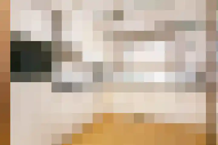 Zaan 9 Wijk bij Duurstede thumbnail 9