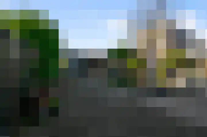 Zaandammerstraat 12 Wormer thumbnail 15