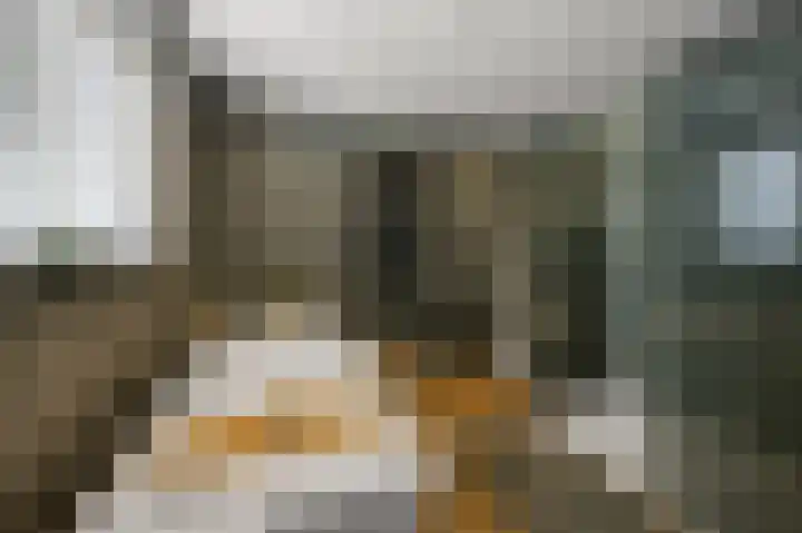 Zaandammerstraat 12 Wormer thumbnail 55