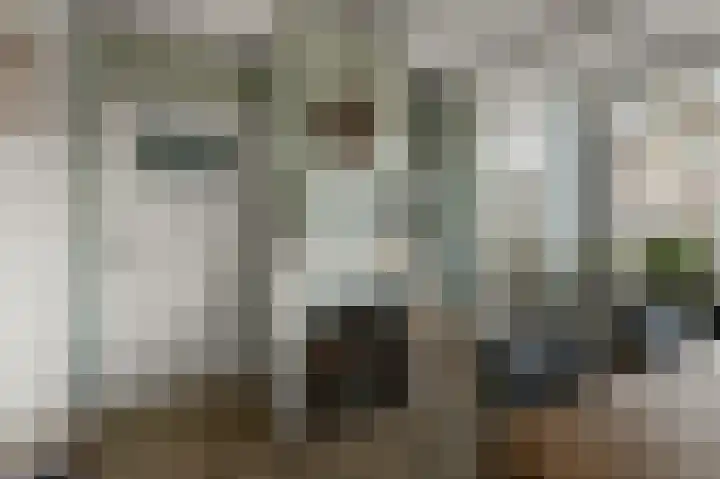 Zaandammerstraat 12 Wormer thumbnail 6