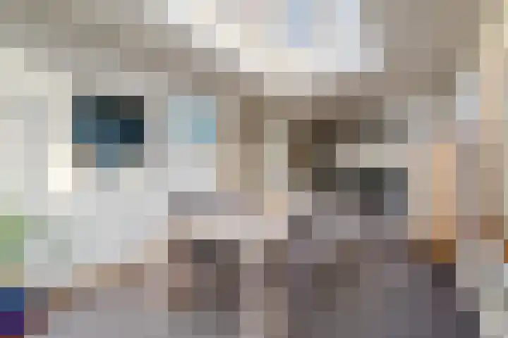 Zaandammerstraat 30 Wormer thumbnail 15