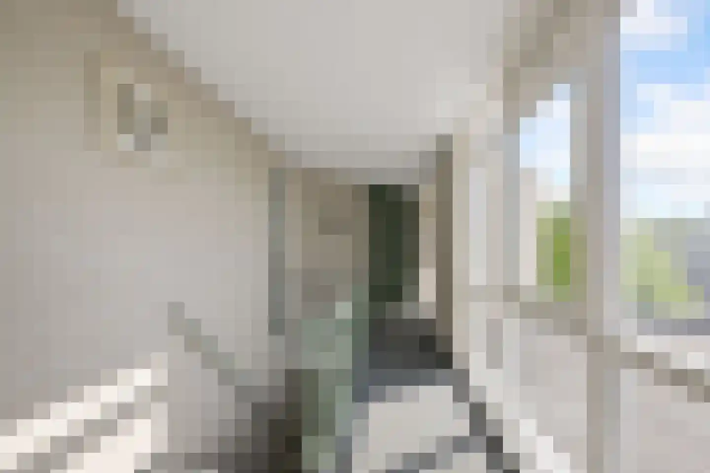 Zaandammerstraat 4 B Wormer thumbnail 29