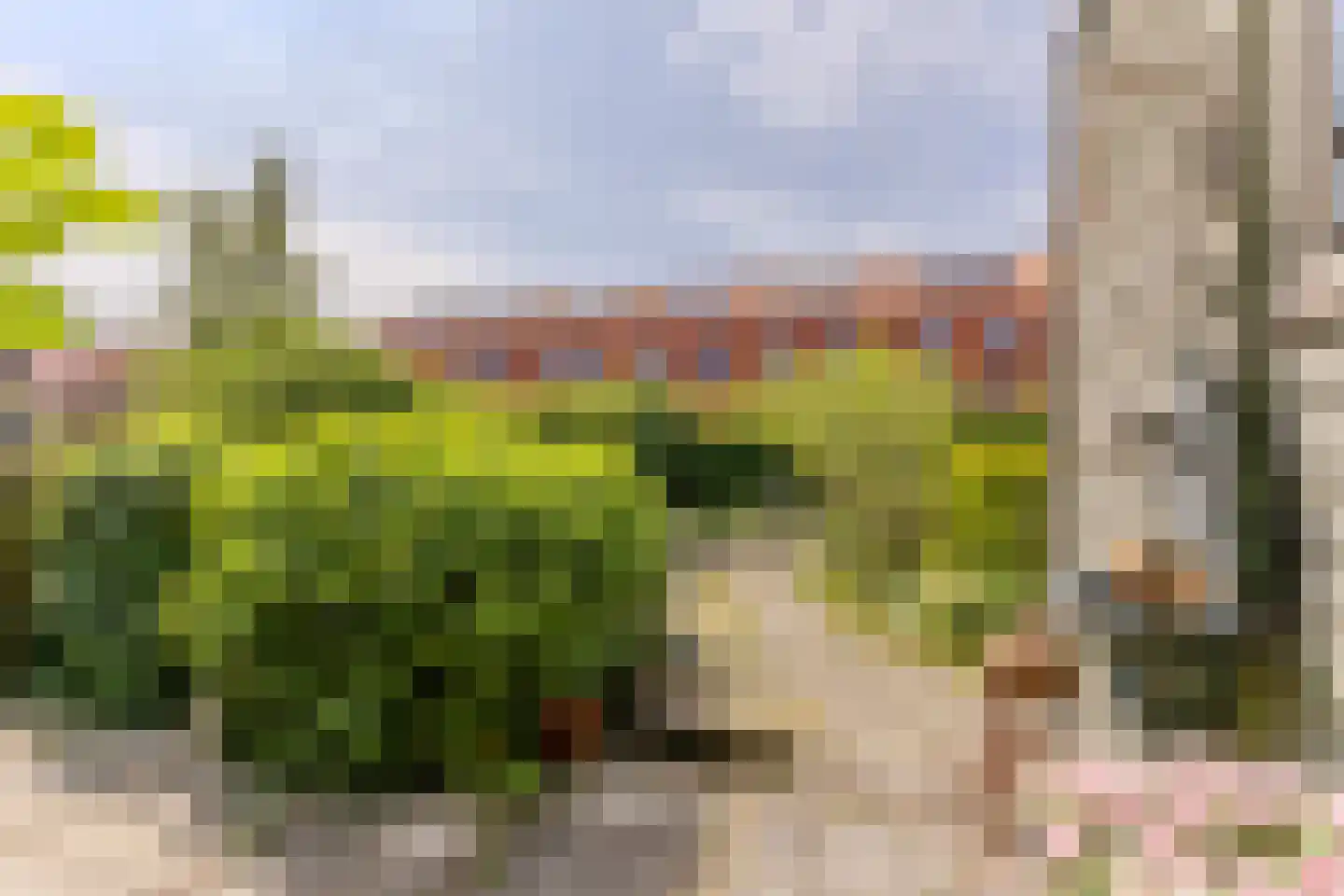 Zaandammerstraat 46 Wormer thumbnail 11