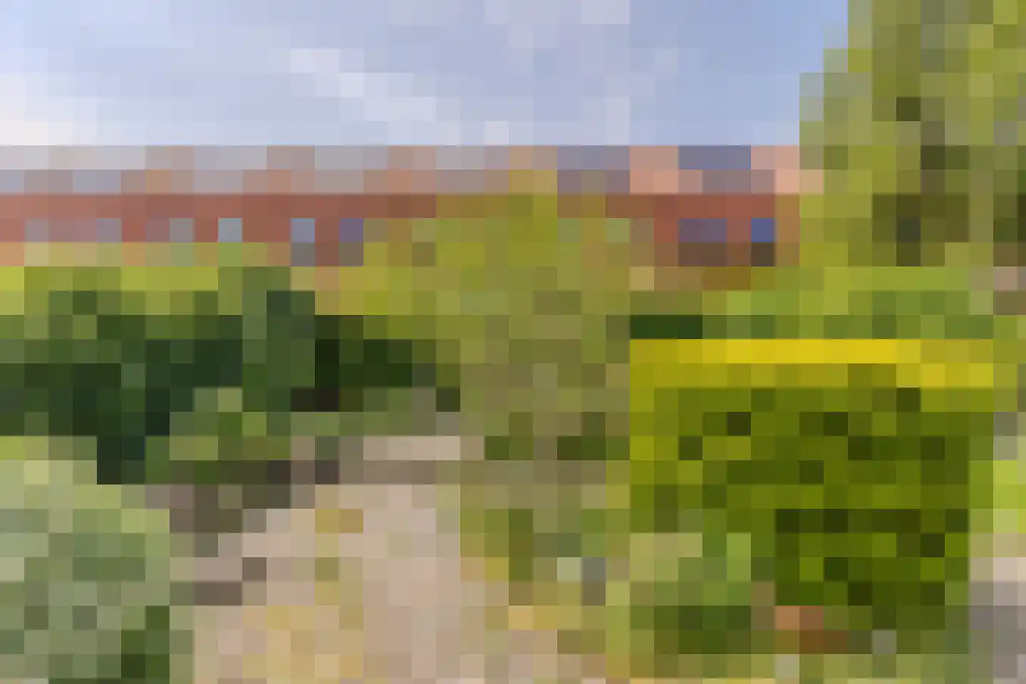 Zaandammerstraat 46 Wormer thumbnail 12