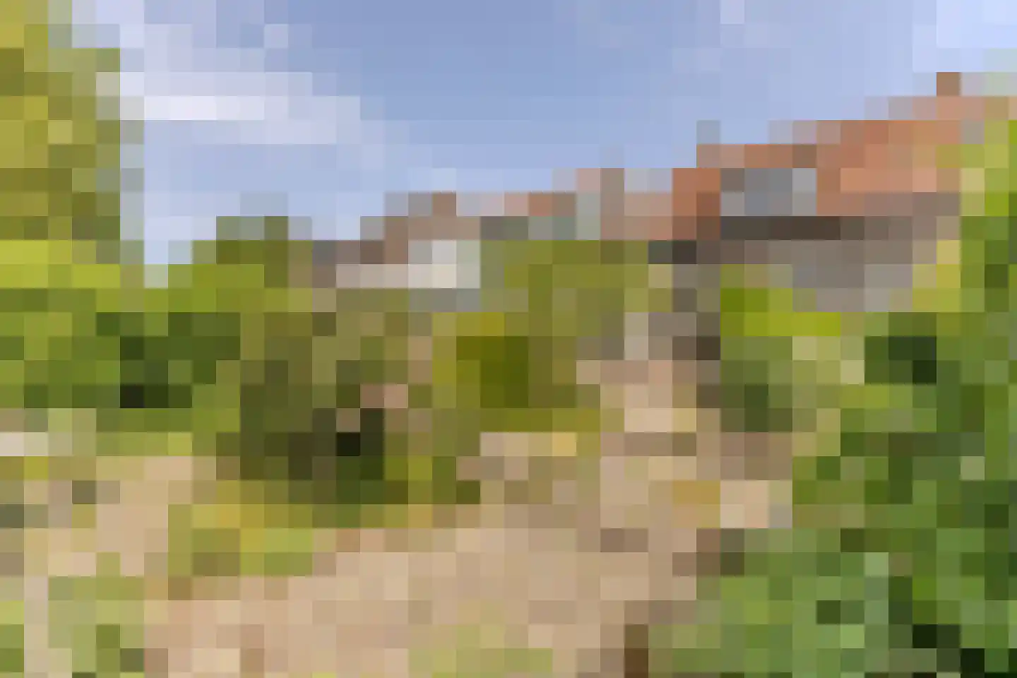 Zaandammerstraat 46 Wormer thumbnail 14
