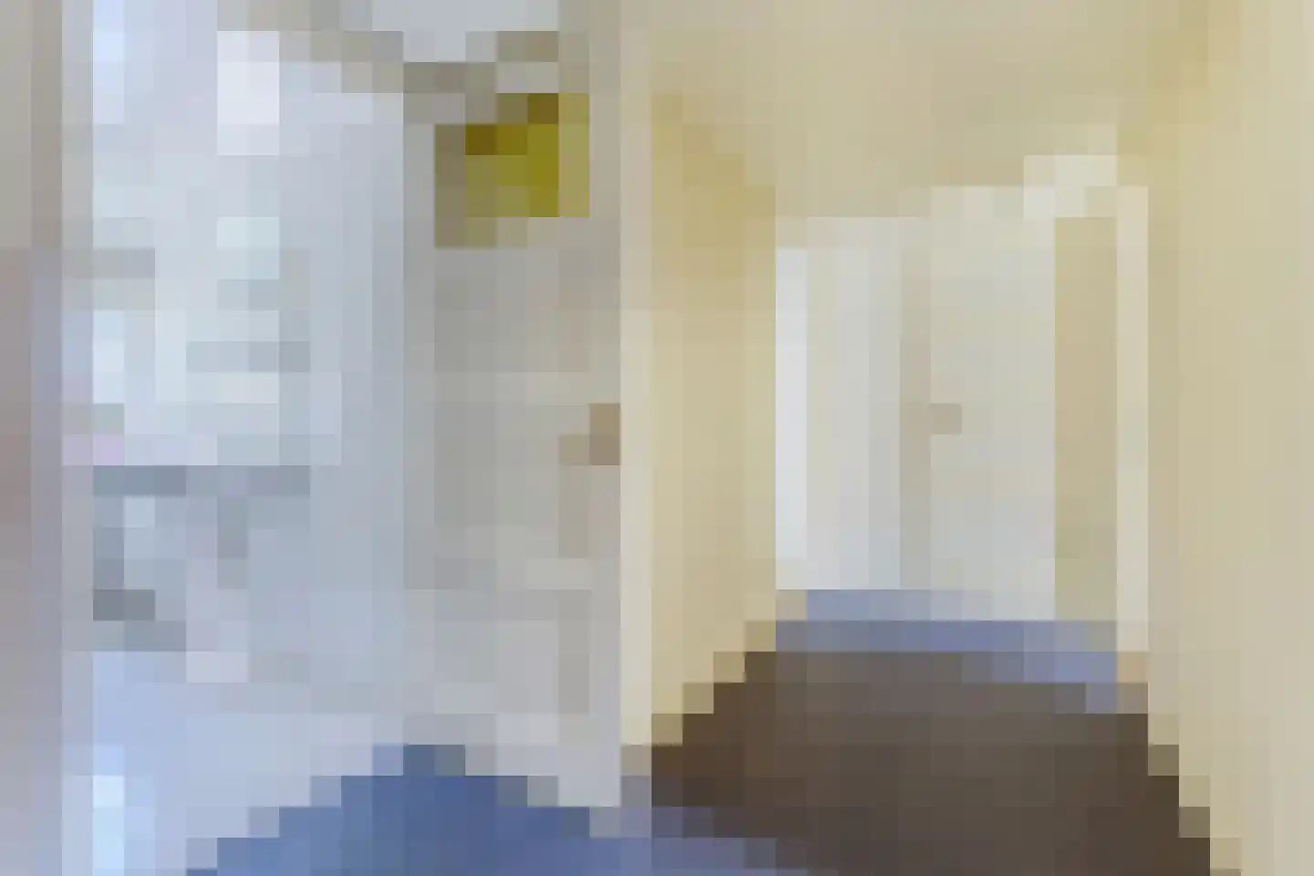 Zaandammerstraat 46 Wormer thumbnail 23