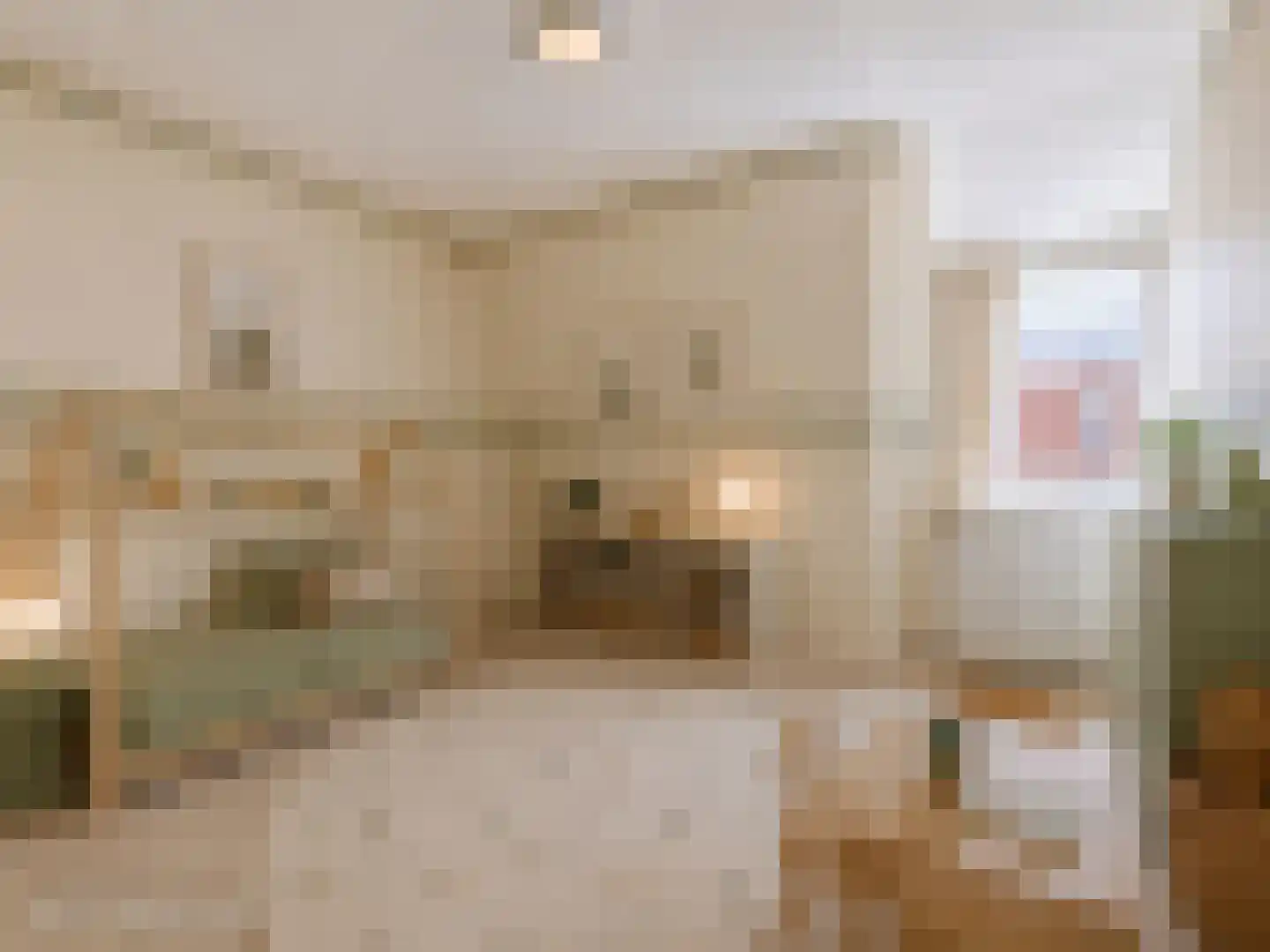 Zaandammerstraat 46 Wormer thumbnail 27