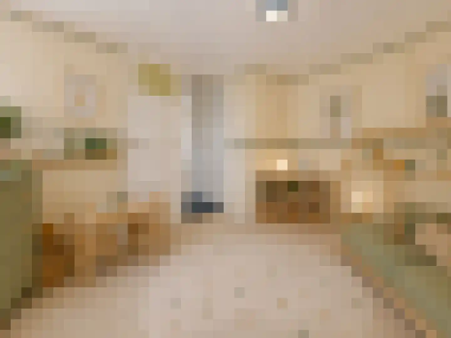 Zaandammerstraat 46 Wormer thumbnail 29