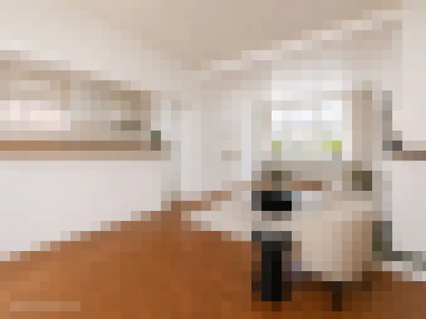 Zaandammerstraat 46 Wormer thumbnail 6