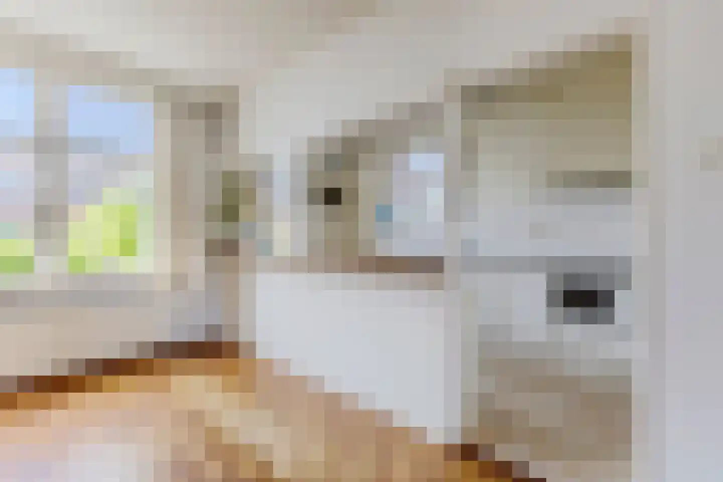Zaandammerstraat 46 Wormer thumbnail 7