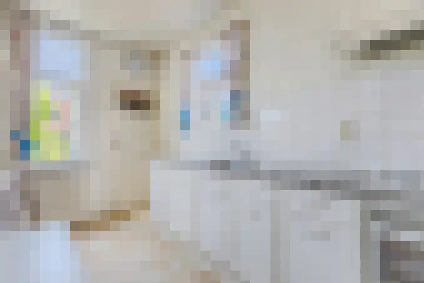 Zaandammerstraat 46 Wormer thumbnail 8