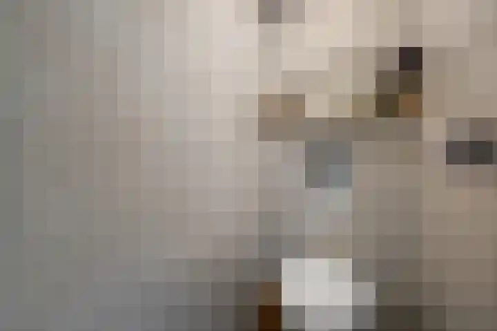 Zaandammerstraat 6 Wormer thumbnail 10