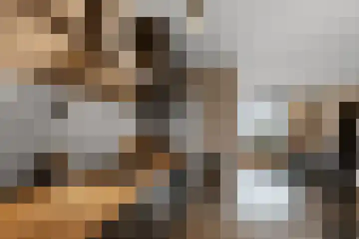 Zaandammerstraat 6 Wormer thumbnail 6