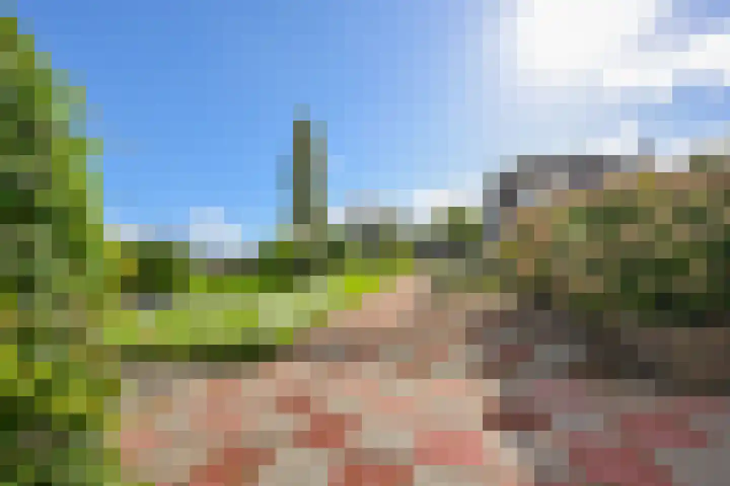 Zaandammerweg 36 A Assendelft thumbnail 10