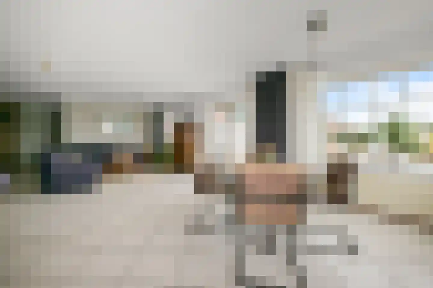 Zaandammerweg 36 A Assendelft thumbnail 13