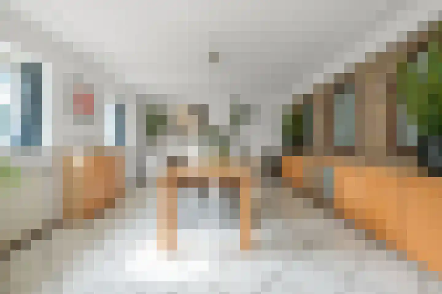 Zaandammerweg 36 A Assendelft thumbnail 19