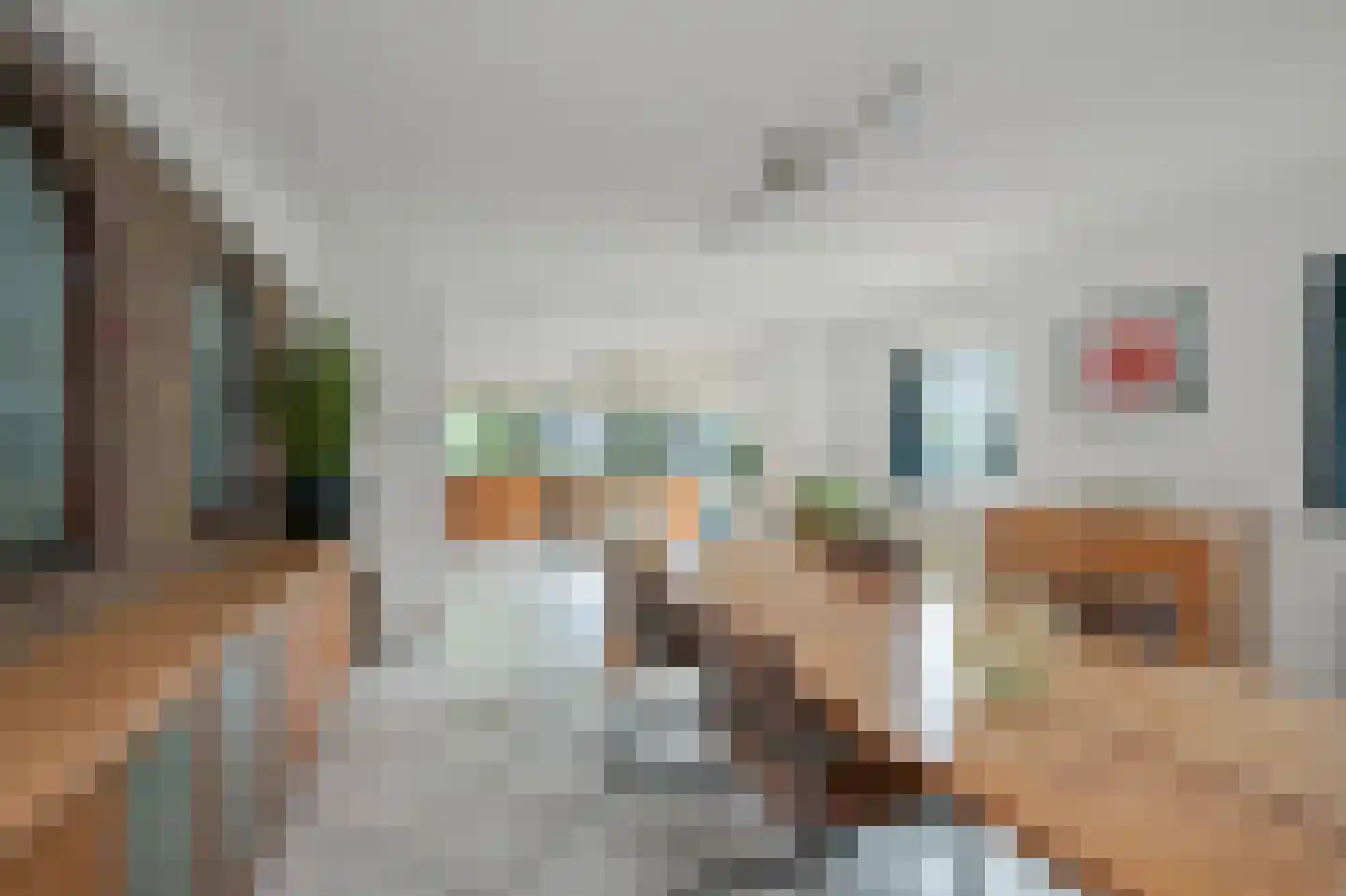 Zaandammerweg 36 A Assendelft thumbnail 20