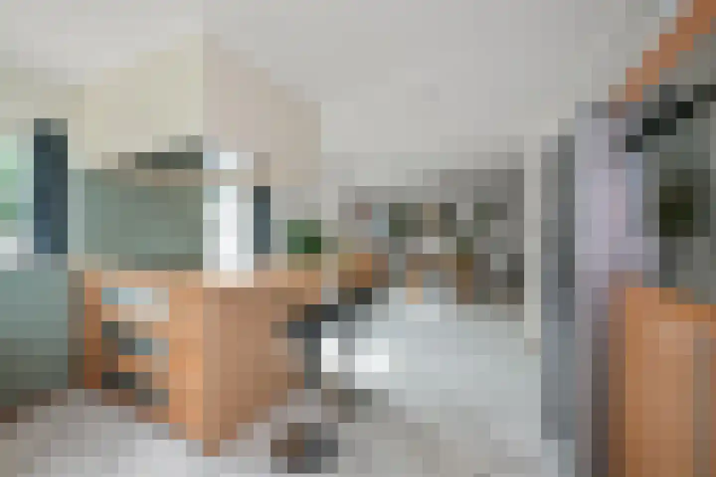 Zaandammerweg 36 A Assendelft thumbnail 23