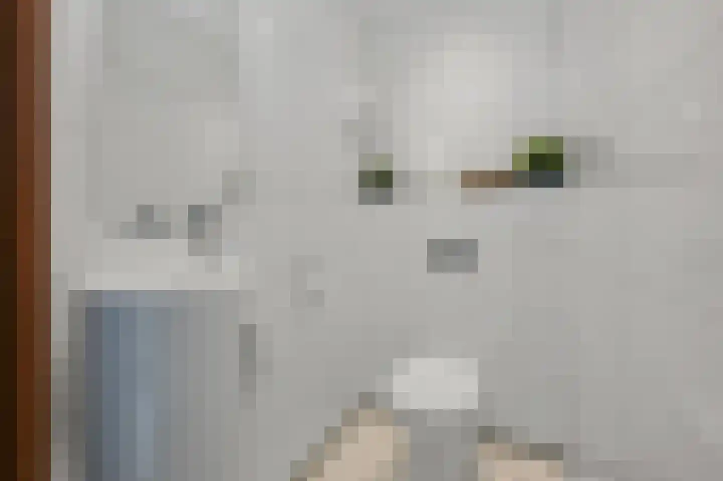 Zaandammerweg 36 A Assendelft thumbnail 24