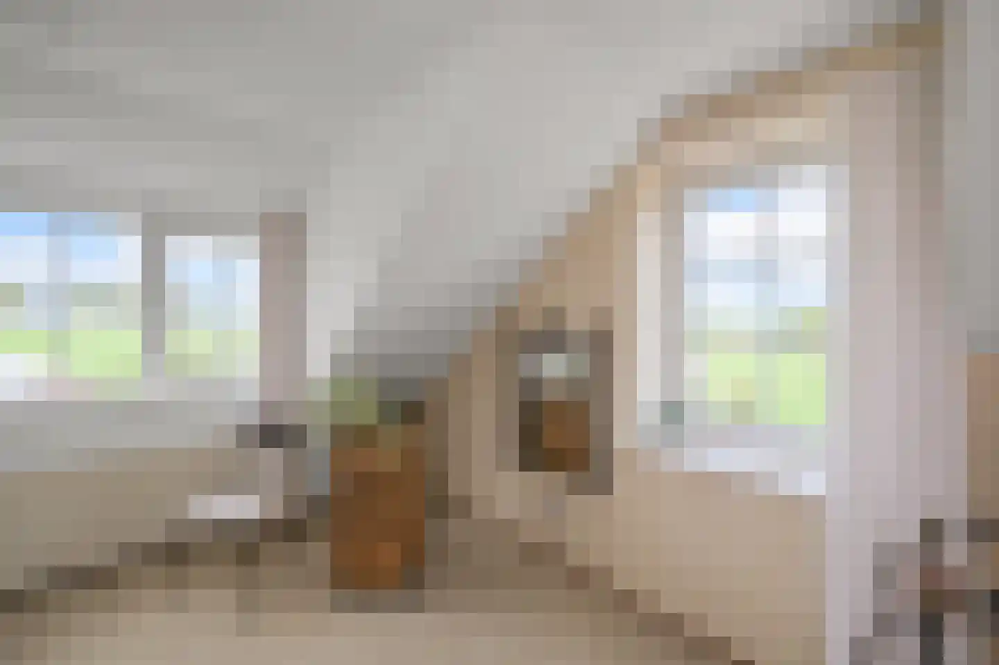 Zaandammerweg 36 A Assendelft thumbnail 27