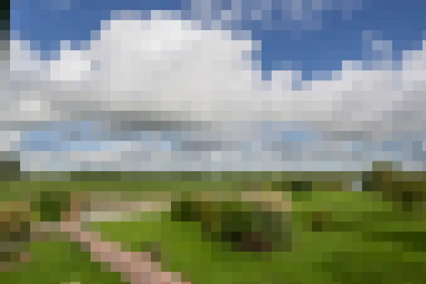 Zaandammerweg 36 A Assendelft thumbnail 28