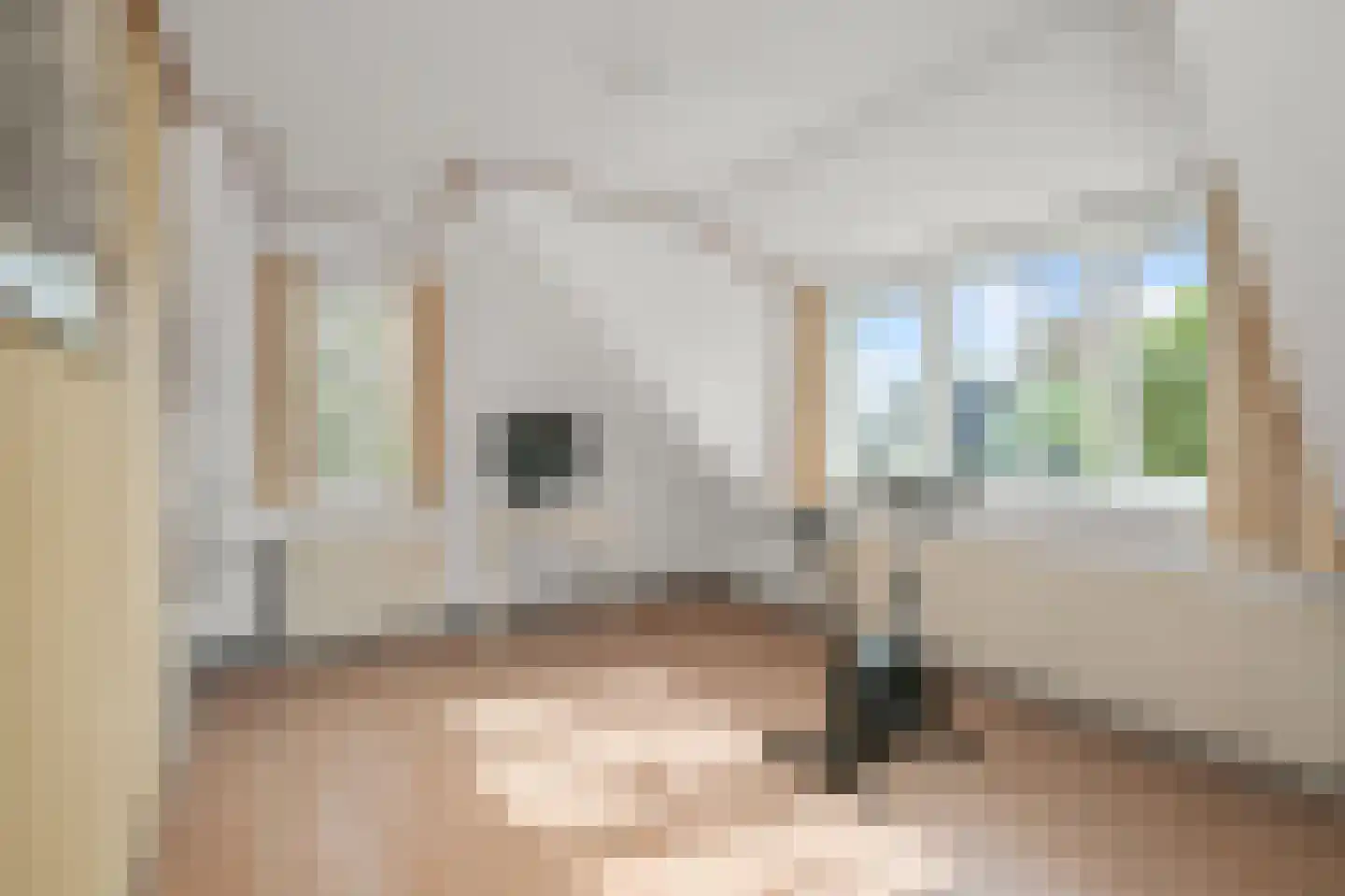 Zaandammerweg 36 A Assendelft thumbnail 31