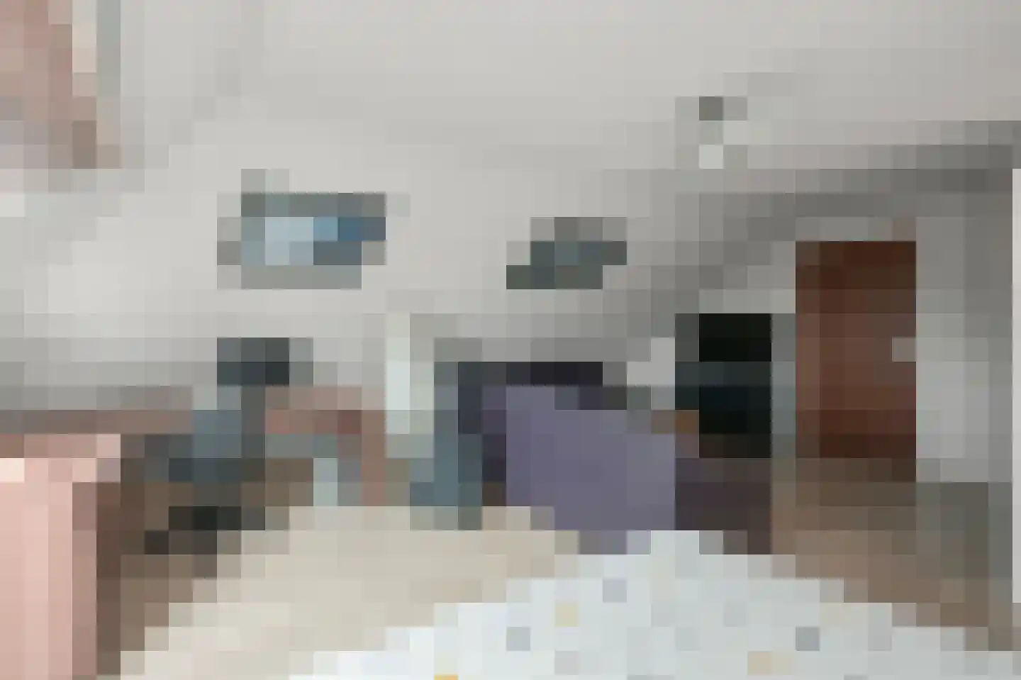 Zaandammerweg 36 A Assendelft thumbnail 37