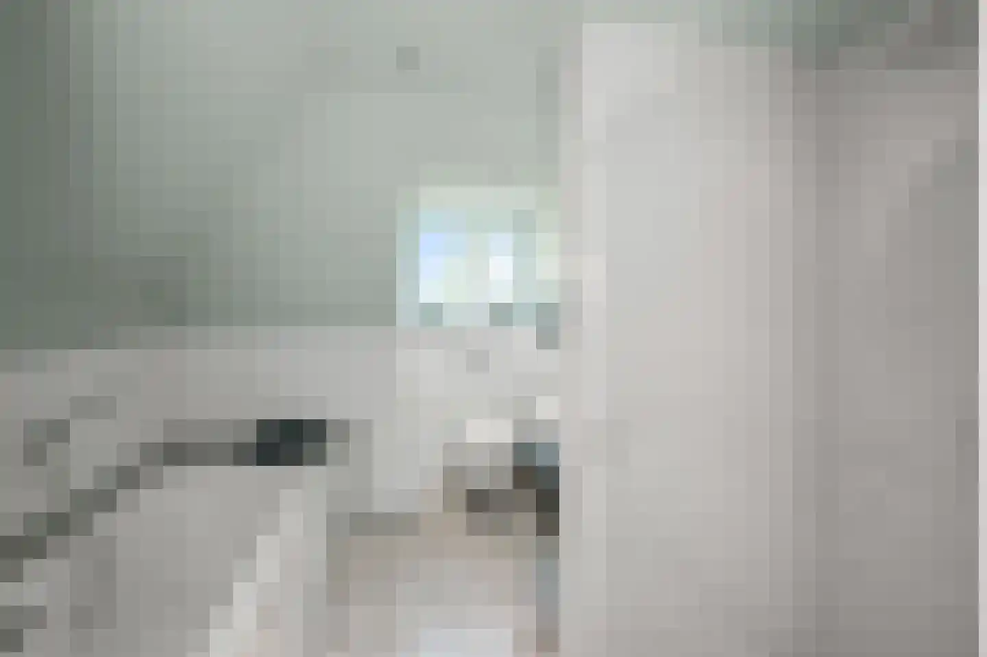 Zaandammerweg 36 A Assendelft thumbnail 38