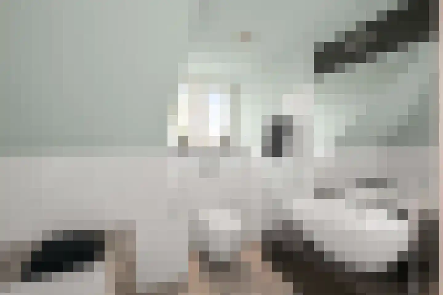 Zaandammerweg 36 A Assendelft thumbnail 39