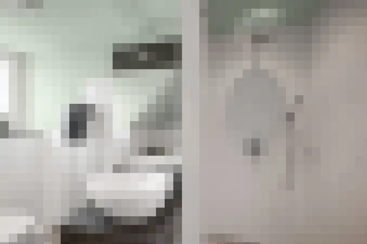 Zaandammerweg 36 A Assendelft thumbnail 40