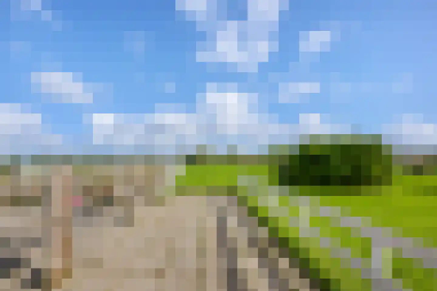 Zaandammerweg 36 A Assendelft thumbnail 45