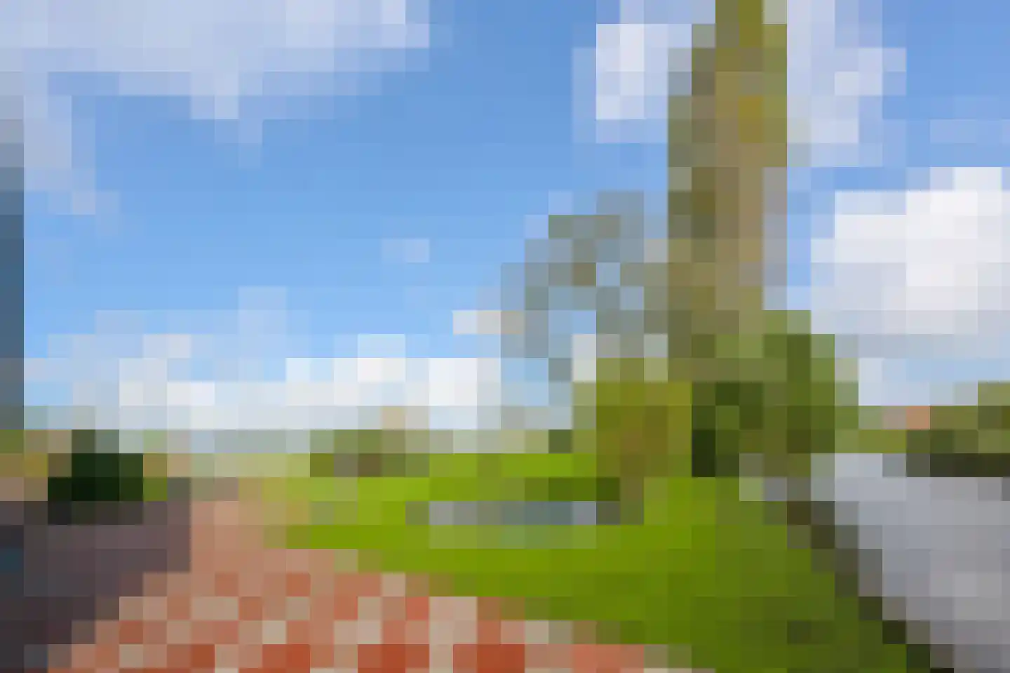 Zaandammerweg 36 A Assendelft thumbnail 51