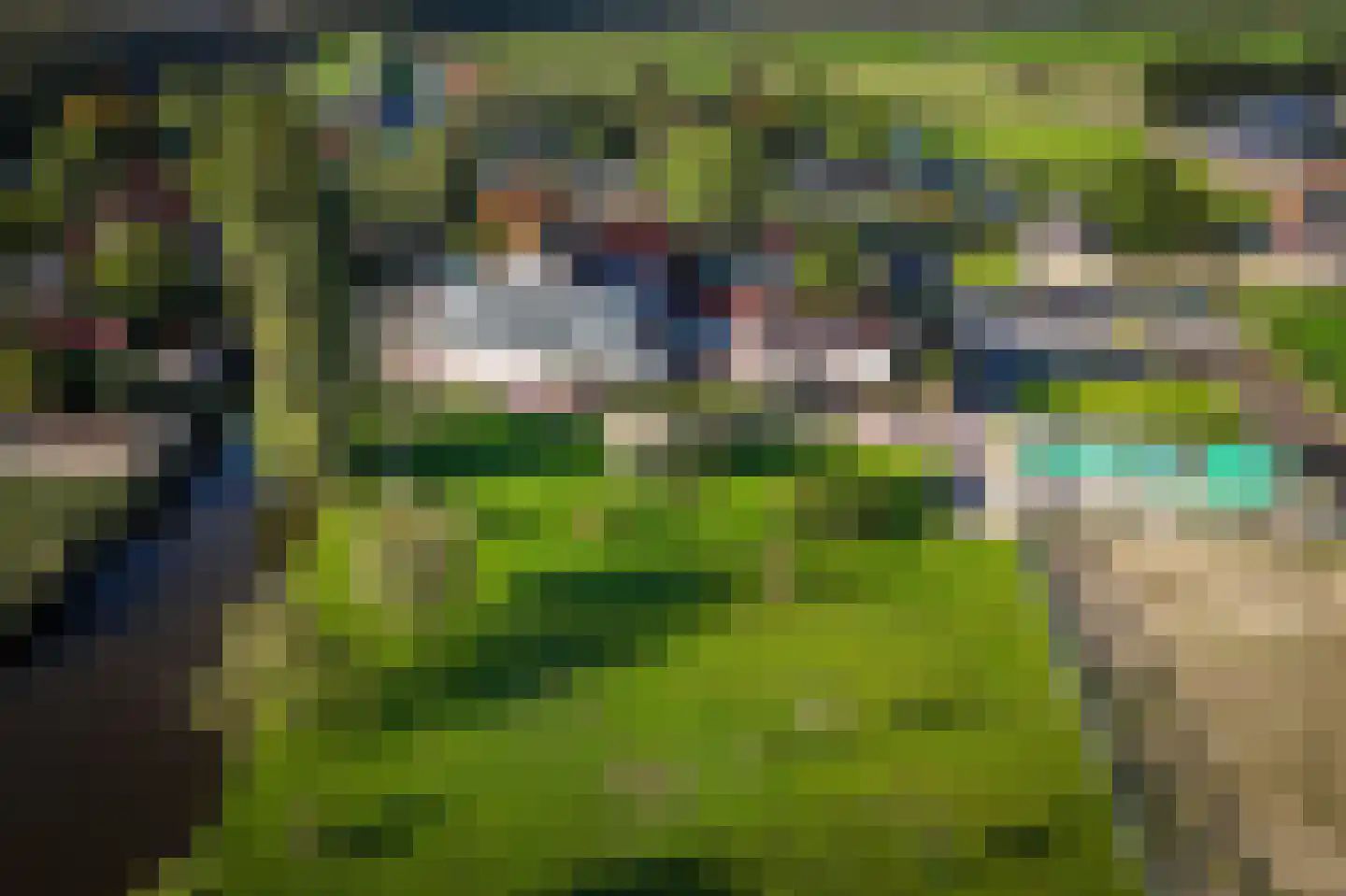 Zaandammerweg 36 A Assendelft thumbnail 54